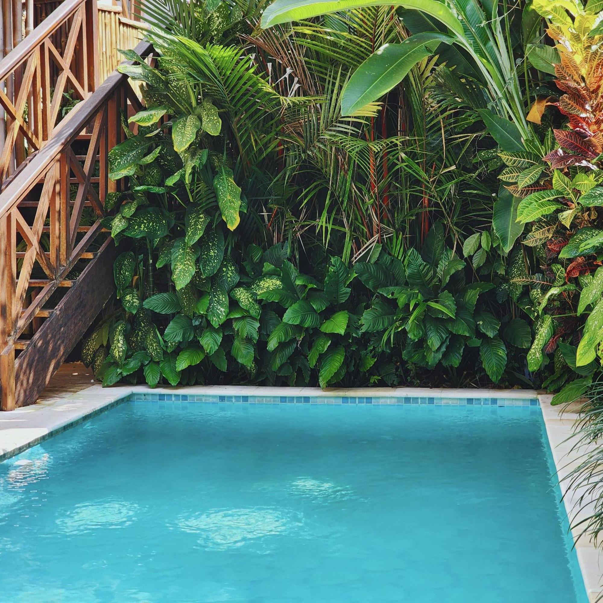 Danaya'S Villa Ubud Exterior foto